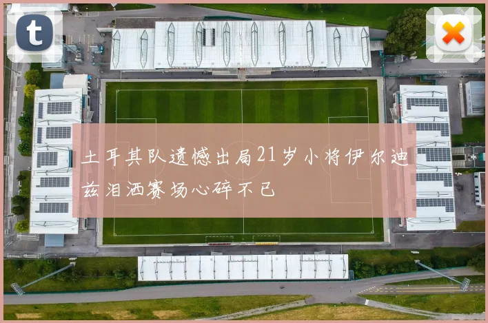 土耳其队遗憾出局21岁小将伊尔迪兹泪洒赛场心碎不已