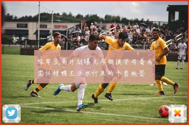 绿军交易计划曝光布朗换字母哥或需怀特鸭王沃尔什及两个首轮签