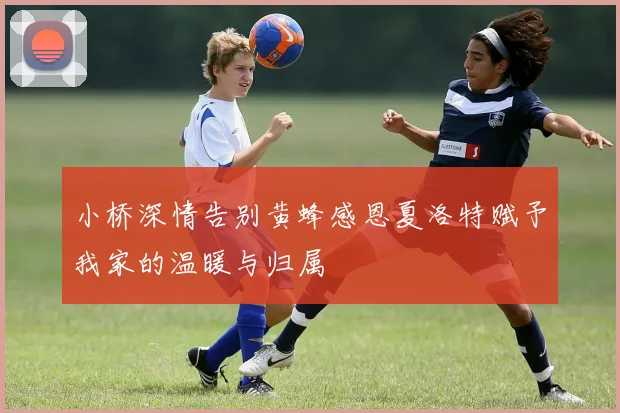 小桥深情告别黄蜂感恩夏洛特赋予我家的温暖与归属
